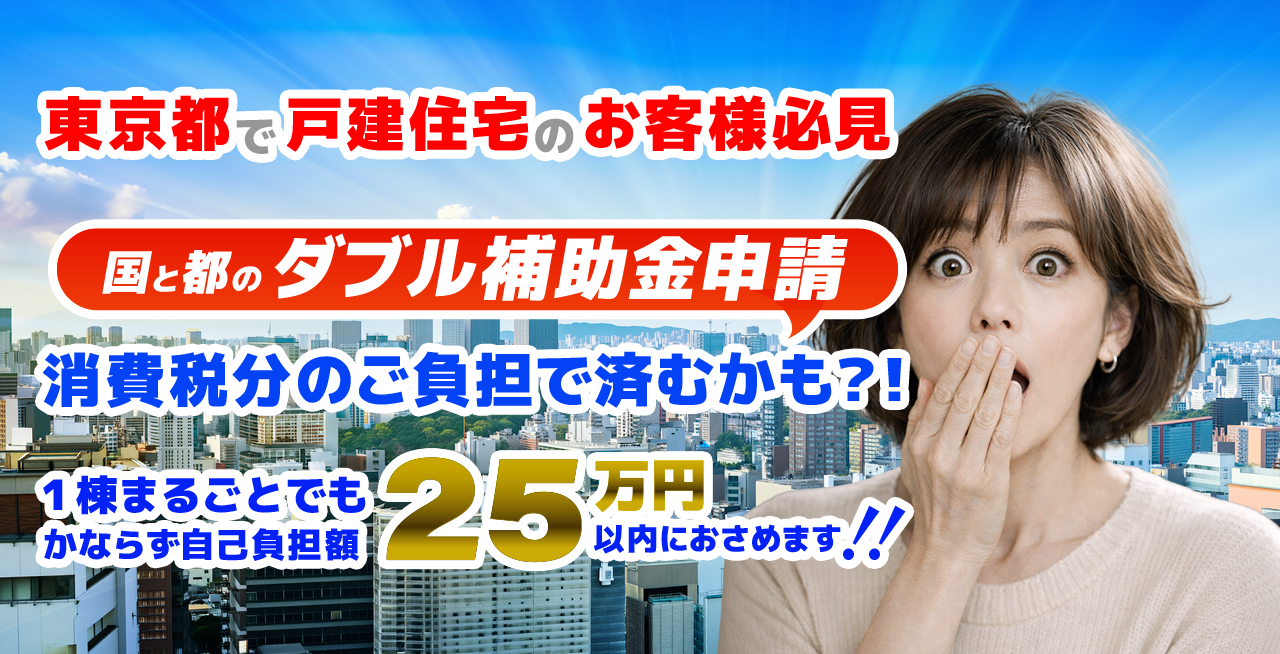 国と都補助金ダブル申請